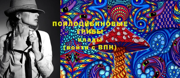 ешки Алзамай