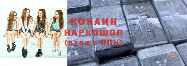 ешки Алзамай