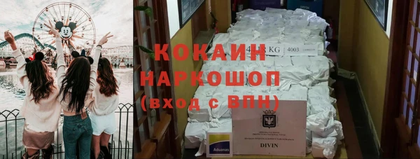 ешки Алзамай