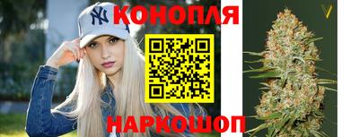 бошки Краснодар