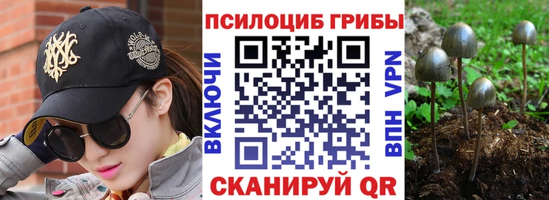 Галлюциногенные грибы Psilocybine cubensis  Североуральск 