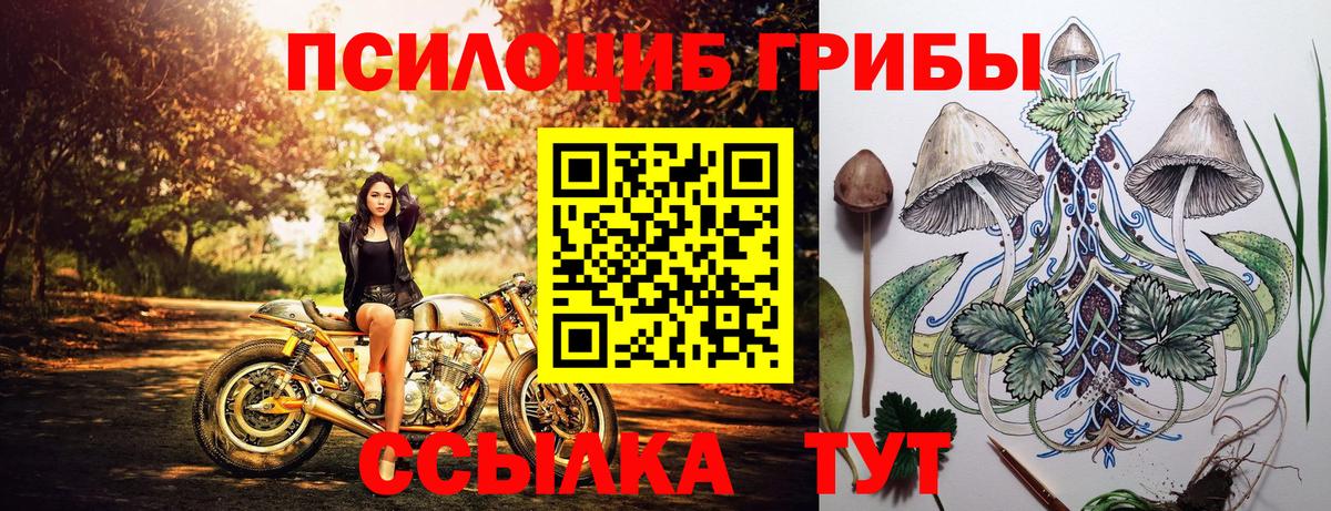 Североуральск  Псилоцибиновые грибы Psilocybe  Вход с VPN  Галлюциногенные грибы GOLDEN TEACHER 